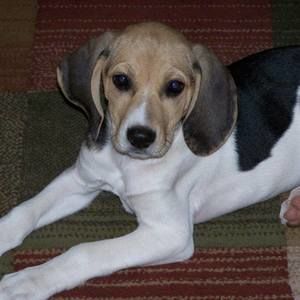 Meet your Posher, Tamara